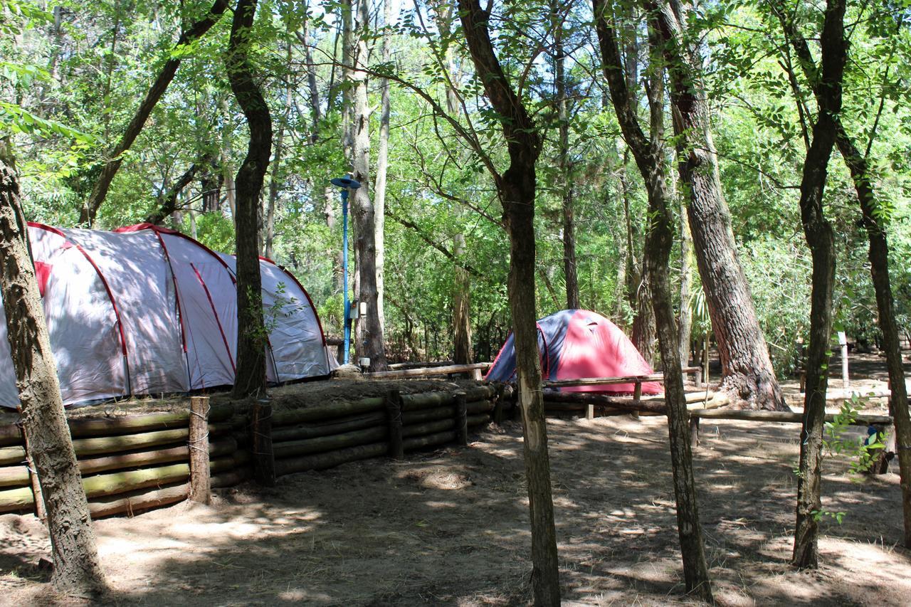 Ramma Camping Vandrarhem Villa Gesell Exteriör bild