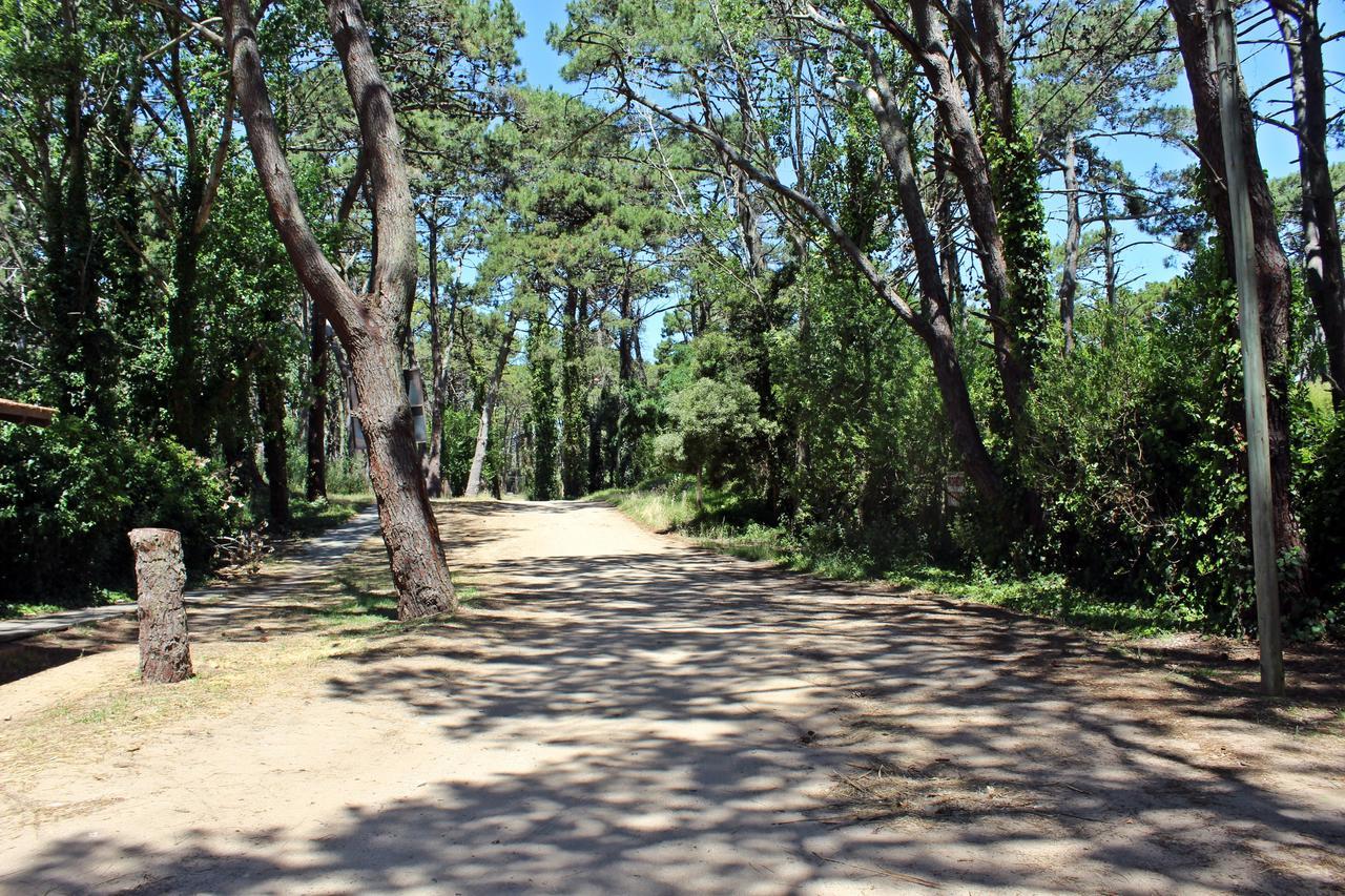 Ramma Camping Vandrarhem Villa Gesell Exteriör bild