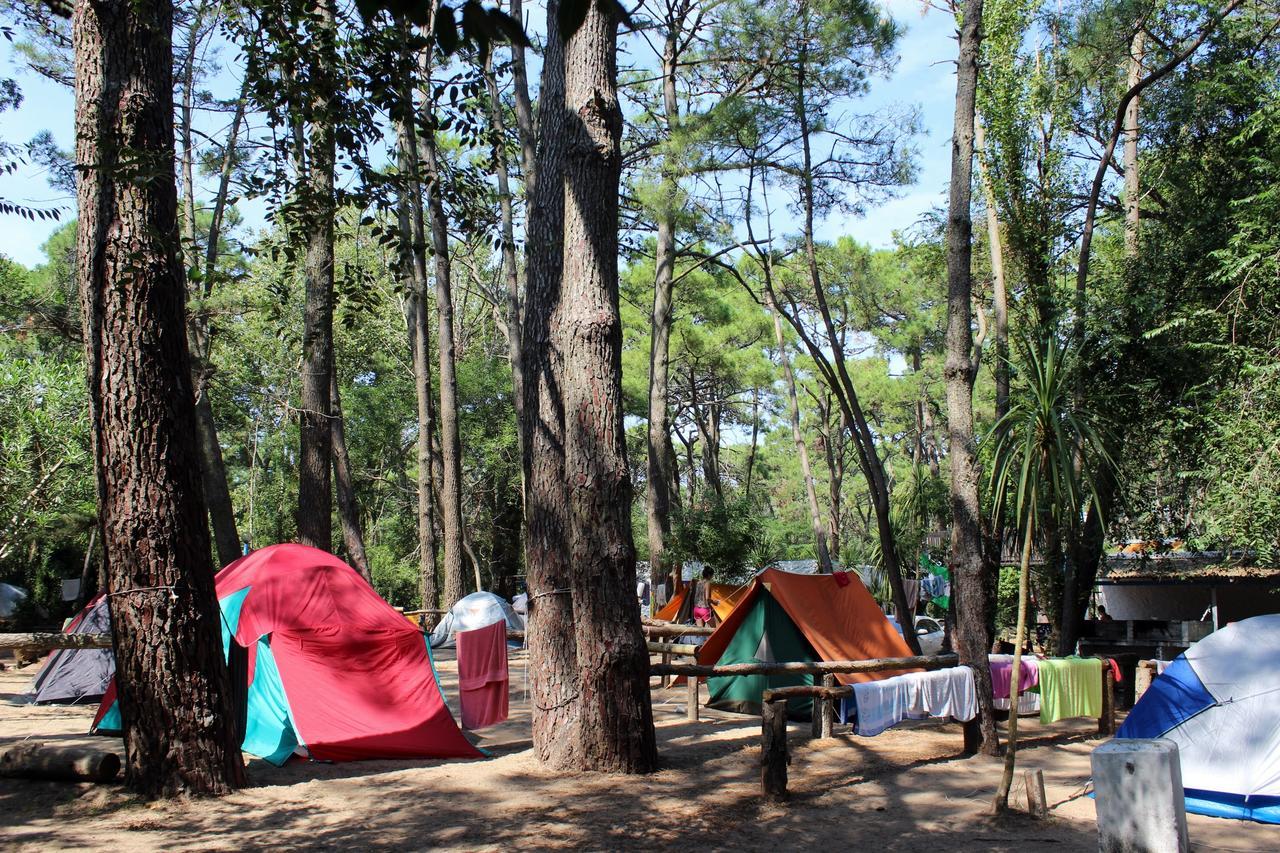 Ramma Camping Vandrarhem Villa Gesell Exteriör bild