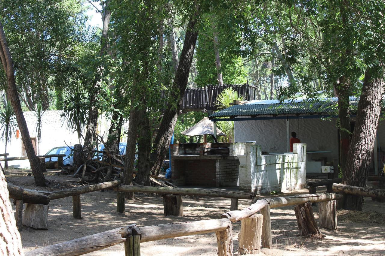 Ramma Camping Vandrarhem Villa Gesell Exteriör bild