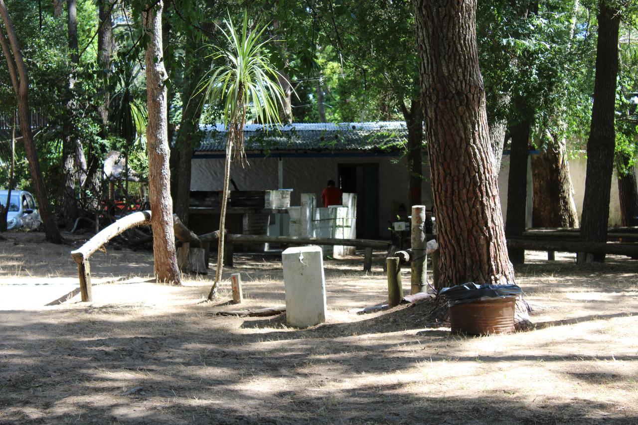 Ramma Camping Vandrarhem Villa Gesell Exteriör bild