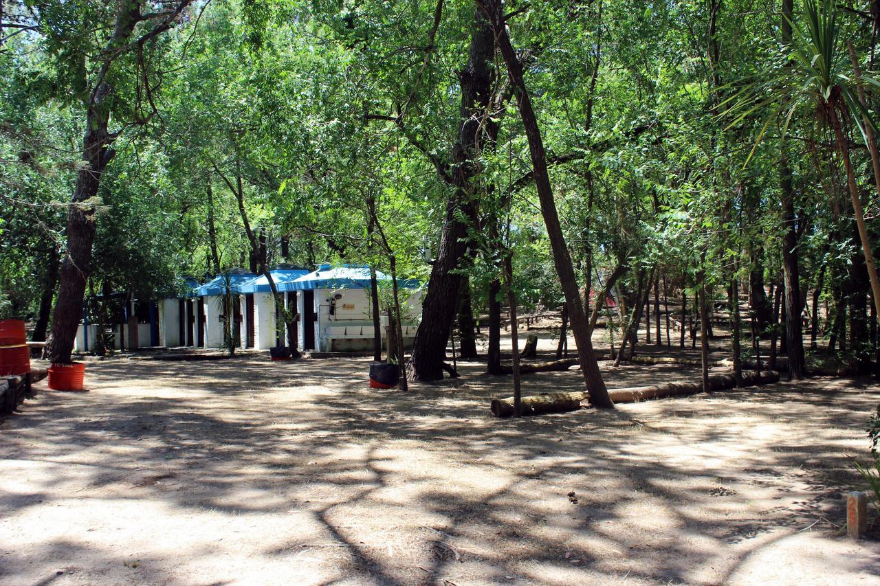 Ramma Camping Vandrarhem Villa Gesell Exteriör bild
